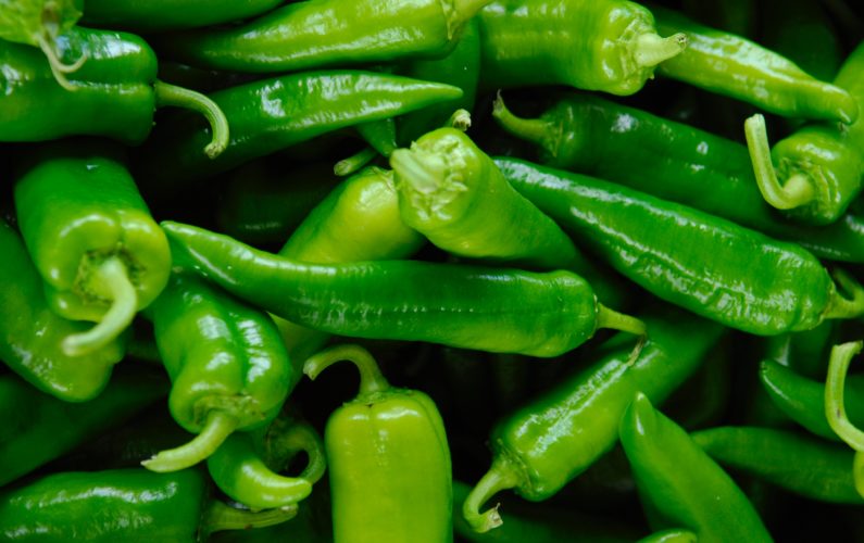 agriculture-chili-chili-peppers-2893540